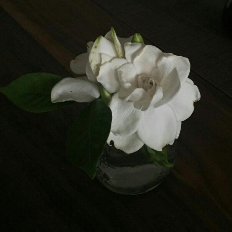 深水元基（饰 未知角色） - gv网钙片在线观看16 - 小程序看剧